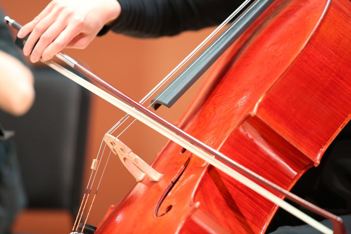 instrument à cordes